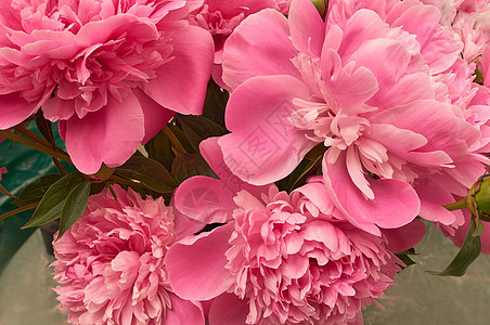 粉色花束的优美花束 紧紧贴近了图片