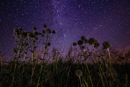 星际夏夜深夜背景的尖球星座乳白色天文学风景夜空摄影蓝色场地黑暗观星图片