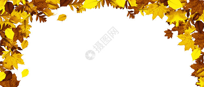 五颜六色的明亮叶子在框架中的白色背景上被隔离橙子边界森林金子桌子作品卡片感恩季节植物图片