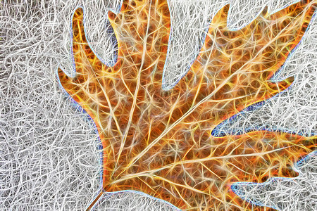 分形艺术 灰色背景上的秋叶叶子蓝色黑色绘画水彩插图落叶墙纸森林花园图片