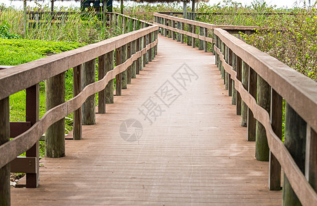 美国佛罗里达州Everglades沼泽地的木林道路小路途径稻草沼泽小屋植物人行道风景公园踪迹图片