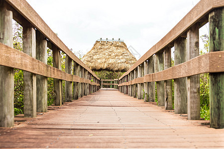 美国佛罗里达州Everglades沼泽地的木林道路叶子风景旅行踪迹植物人行道公园小屋木头稻草图片