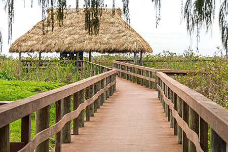 美国佛罗里达州Everglades沼泽地的木林道路叶子旅行木头人行道公园风景沼泽热带车道踪迹图片