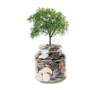 钱植物退休贷款高清图片