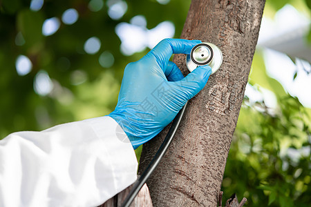 用听诊器 生物学 生态学 环境 全球变暖 拯救地球检查健康聆听树的自然医生生态专业科学家自然保护环境问题地球知识生长科学图片