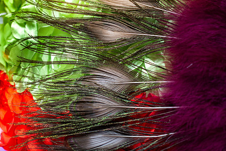 美丽的鸟羽毛用于装饰目的情调羽化鹅毛笔翅膀毛皮艺术背景蓝色狂欢尾巴图片