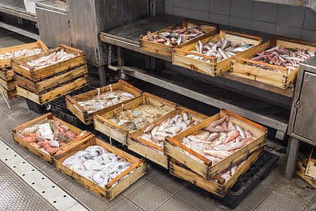 小型意大利小城镇当地鱼类市场食物美食渔夫盒子生活海洋店铺海鲜图片