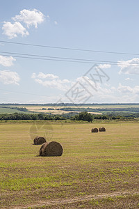 草地上稻草的圆圈草垛收成太阳干草生长农村食物土地玉米金子图片
