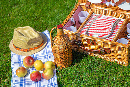 公园中阳光明媚的绿草坪上的彩礼篮子场地花园盒子郊游食物小吃手提包草地稻草盘子图片