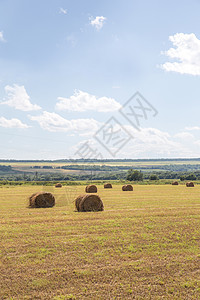 草地上稻草的圆圈季节生长农场国家金子蓝色谷物土地农田玉米图片
