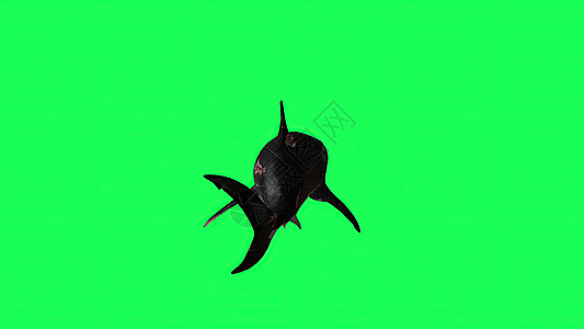 3d 插图绿屏中的鲨鱼背景捕食者游泳濒危绿色潜水动画生物攻击眼睛牙齿图片