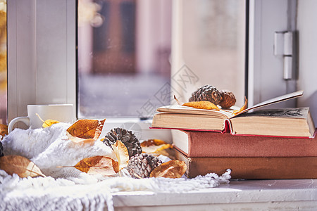 书本和咖啡杯的明秋春背景教育咖啡玻璃阳光窗户早餐松果橙子乡村饮料图片