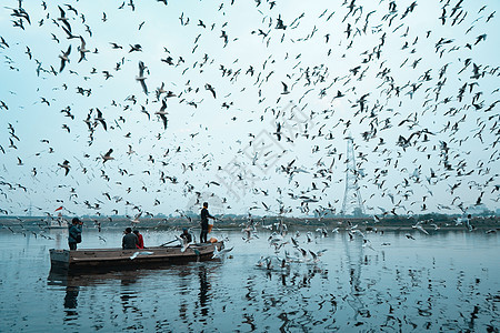 西伯利亚鸟白天飞过河流的照片 中间有一艘船航行飞行城市化人群优胜者生长鸽子天空会议动物商业图片
