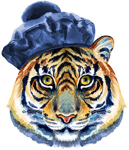 身穿黑色贝雷帽的老虎 身穿绒球 孤立在白色背景上的水彩插图图片