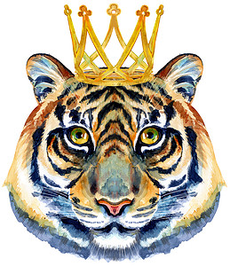 老虎星座人物水彩插图与金色皇冠隔离在白色背景图片