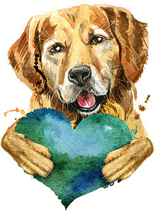 抽象狗金毛猎犬水彩肖像与绿色听到背景