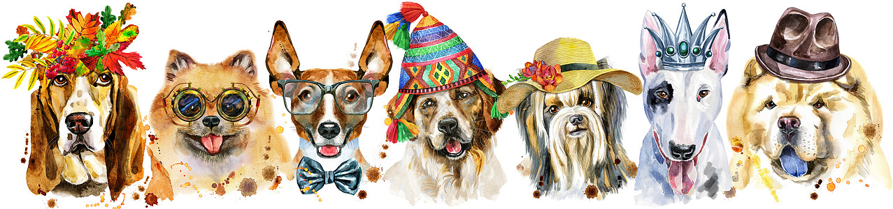 用于装饰的狗水彩肖像的边框伴侣小狗动物宠物猎犬插图边界艺术犬类哺乳动物图片