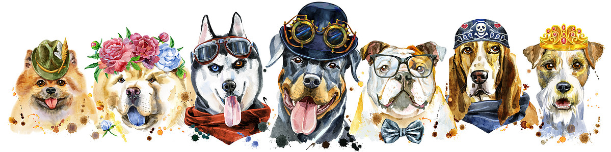 用于装饰的狗水彩肖像的边框边界插图朋友动物小狗海报哺乳动物斗牛犬犬类草图图片
