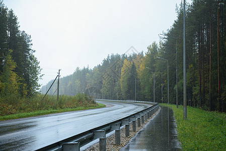 森林雨路段 沿路有行人道路车道草地旅行森林叶子季节场景街道沥青地面背景