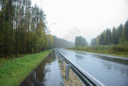 路段 沿路有行人道路树木地面公园季节自行车旅行安全场景街道叶子图片