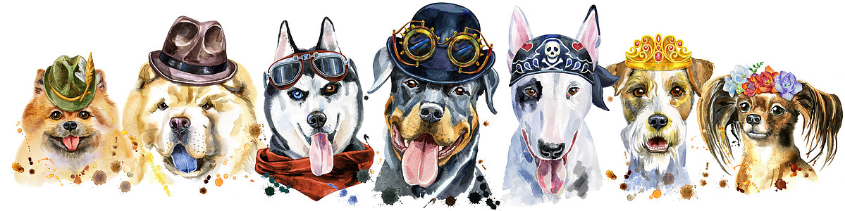 用于装饰的狗水彩肖像的边框哺乳动物边界犬类草图动物伴侣艺术松狮新年斗牛犬图片