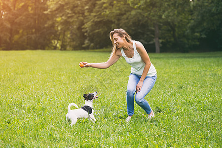 女人玩她的狗 杰克罗素泰瑞 在大自然宠物家畜幸福动物活动训练哺乳动物教育主人纯种狗图片