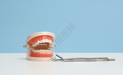 白色牙牙甚至白牙的人类下巴塑料模型和白桌上的体格检查镜医生工具乐器探测牙科牙齿矫正药品金属蓝色图片