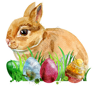 一只带鸡蛋和草的米色兔子的水彩插图动物农场假期荒野艺术卡片草图乐趣哺乳动物野生动物图片