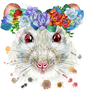 白鼠水彩肖像与小苍兰和桉树 wreat哺乳动物卡通片野生动物绘画动物荒野老鼠仓鼠尾巴草图图片