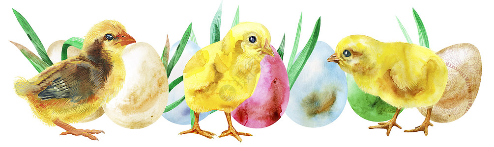 水彩复活节彩蛋鸡和草图片