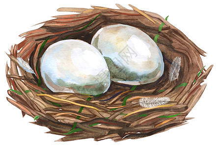 手绘水彩艺术鸟巢与 eggeaster 设计礼物庆典荒野假期季节插图生活问候语蓝色羽毛图片