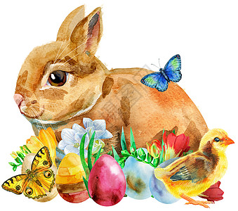 蝴蝶水彩一只米色兔子的水彩插图 上面有鸡蛋和 chike背景