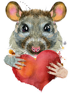 红耳朵老鼠的水彩肖像图片