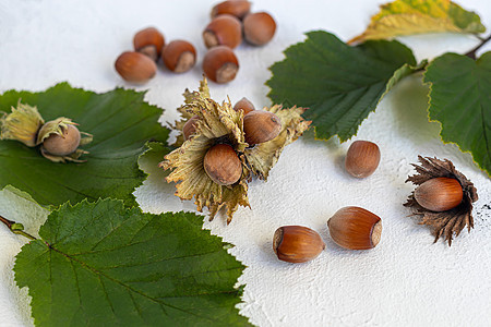 浅色背景的黑桃子和绿叶 含有有益的维他命和矿物质植物流动配料杏仁购物玻璃榛子微量元素食物亚麻图片