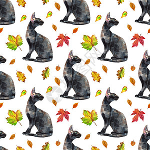 东方黑猫的无缝模式 绘画动物图案哺乳动物冒充墨水毛皮草图水彩小猫宠物晶须猫科图片