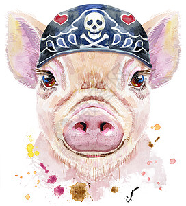 戴着骑自行车的人头巾的迷你猪水彩肖像插图假期艺术动物白色绘画卡片海报伴侣宠物图片
