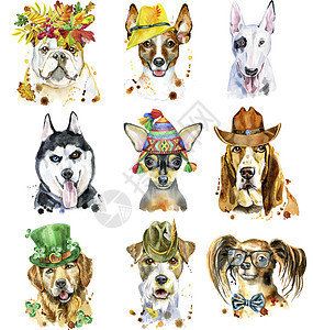 一套装饰狗的水彩色肖像犬类小狗动物宠物水彩斗牛犬猎犬艺术边帽插图图片