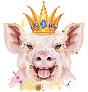 插画猪带皇冠的猪水彩肖像 可爱的插画背景