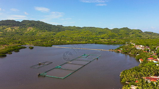 有池塘的养鱼场 菲律宾Bohol图片