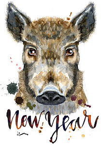 野猪水彩画像 上面刻着新的一年农场草图问候语小猪宠物动物朋友卡片公猪假期图片