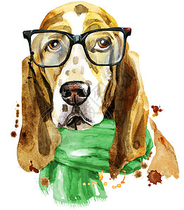 带眼镜和绿色疤痕的巴塞特猎犬水彩肖像图片