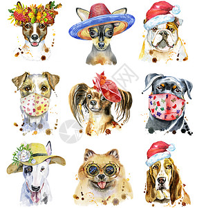 一套装饰狗的水彩色肖像玩具小狗帽子犬类猎犬绘画面具哺乳动物斗牛犬插图图片