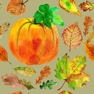 无缝花纹与秋天的水彩叶子和南瓜打印绘画草药艺术品艺术树叶花园插图热带墙纸图片