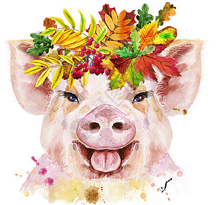 带假花环的迷你猪水彩肖像树叶礼物草图农场绘画花朵动物朋友插图橡木图片
