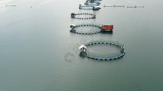 渔业 工业规模的鱼类养殖 (单位 千美元)图片