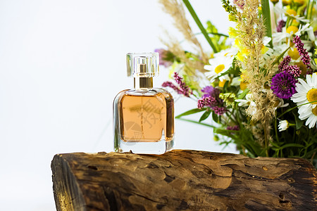 干树桩 树皮和一束野花背景上的香水瓶 时尚的外观 布局 个性 横幅 文本的位置广告植物化妆油疗法洋甘菊魔法礼物绘画品牌假期图片