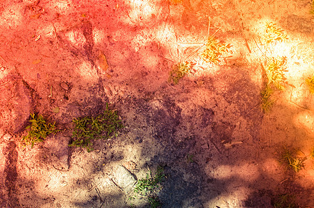 树叶和阳光在地面上形成的硬阴影 用于设计或墙纸的彩虹渐变背景 复制空间图片