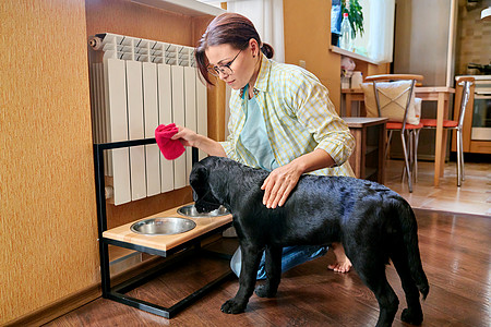 中年妇女和内地厨房家养宠物狗房子女性食物抹布公寓打扫动物犬类房间朋友们图片