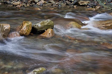 山河 含模糊水的河流紧闭场景森林浅滩岩石溪流流动流量风景运动环境图片