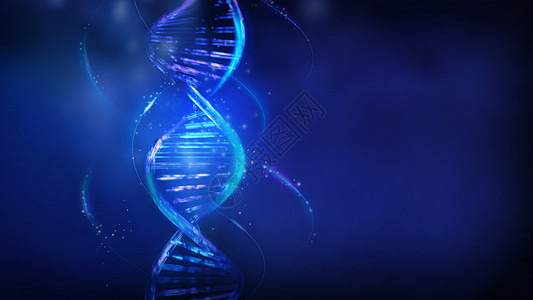 深蓝色背景上光滑的DNA线条 3D制成图片